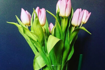 Έτσι και εγώ μόλις μπήκε ο Μάρτης και η ηλιοφάνεια άρχισε να επικρατεί άλλαξα αμέσως διάθεση και ξεκίνησα τις αλλαγές στο σπίτι! Πώς να φέρουμε την άνοιξη στο σπίτι μας