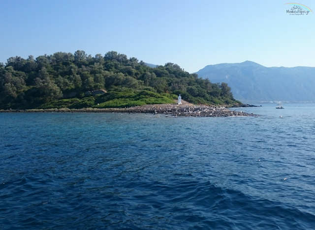 ΛΙΧΑΔΟΝΗΣΙΑ ΟΙ ΜΙΚΡΕΣ ΣΕΥΧΕΛΛΕΣ ΤΗΣ ΕΛΛΑΔΑΣ ΛΙΧΑΔΟΝΗΣΙΑ ΟΙ ΜΙΚΡΕΣ ΣΕΥΧΕΛΛΕΣ ΤΗΣ ΕΛΛΑΔΑΣ