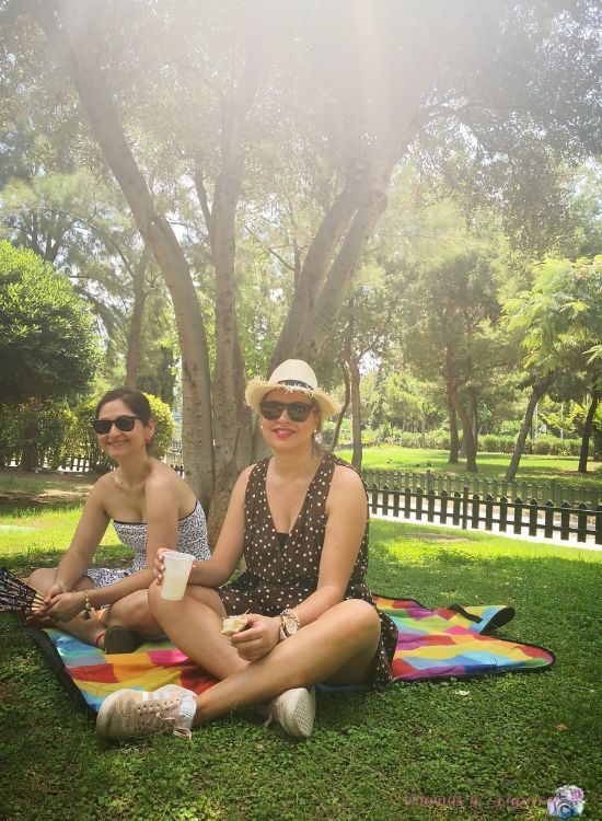 bloggers retro picnic day