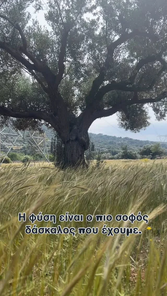 Στη σιωπή της φύσης βρίσκεις τις απαντήσεις που η φασαρία του κόσμου κρύβει.
#mamasnpapas💜💜 #greekmomblogger #mombloggersofig #mombloggergr #instamom #momlifeisthebestlife #