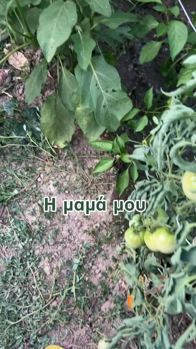 Η μάνα δείχνει το σωστό μέσα από το παράδειγμα 🙏
@argirosachinidou είσαι top όπως λέει και το μωρό @saxinidouu_ 😉